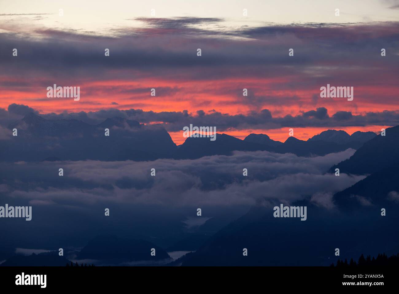 Herbstmorgen im Ostallgäu Ausblick am Morgen von der Alpsitz in den Allgäuer Alpen bei Sonnenaufgang und Nebel., Nesselwang Bayern Deutschland *** mattina d'autunno a Ostallgäu Vista al mattino dalle Alpi delle Alpi Allgäu all'alba e alla nebbia, Nesselwang Baviera Germania Foto Stock