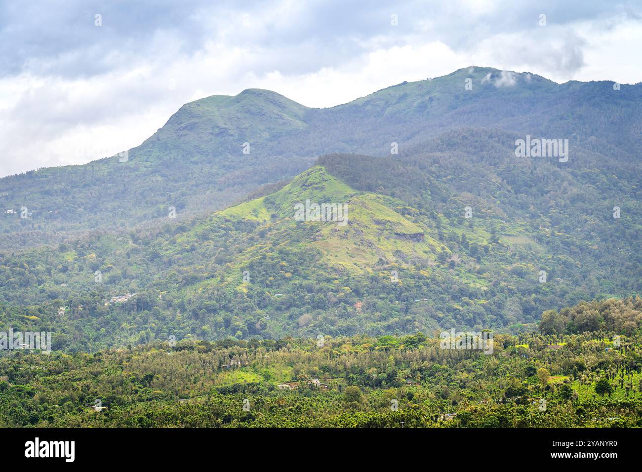 Yellamalai da Gudalur, Tamil Nadu - Un villaggio di piantagioni nel distretto Tamil Nadu Neelagiri. Foto Stock