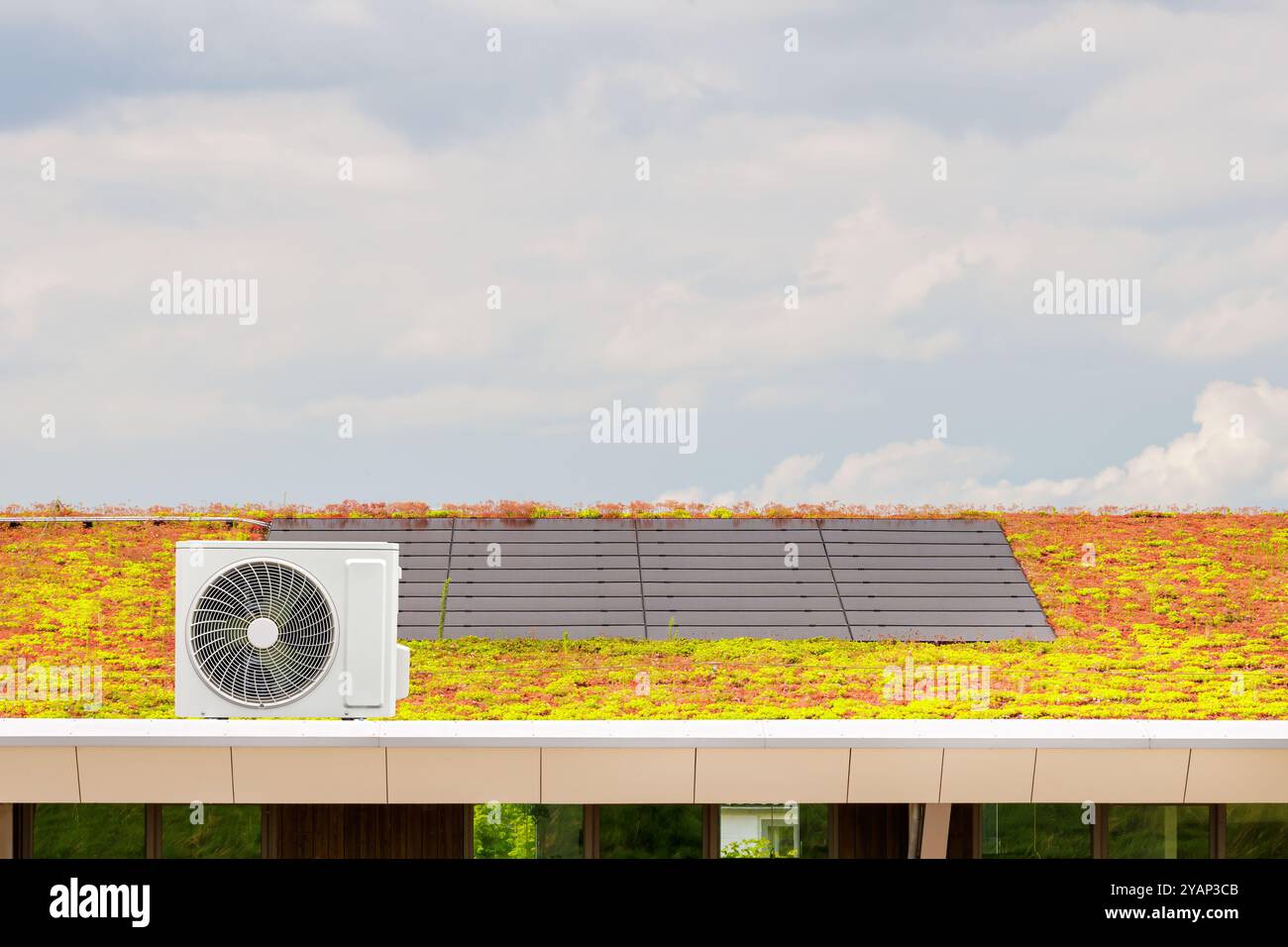 Tetto Sedum con pannelli solari e scambiatore di calore esterno di una pompa di calore a sorgente d'aria Foto Stock
