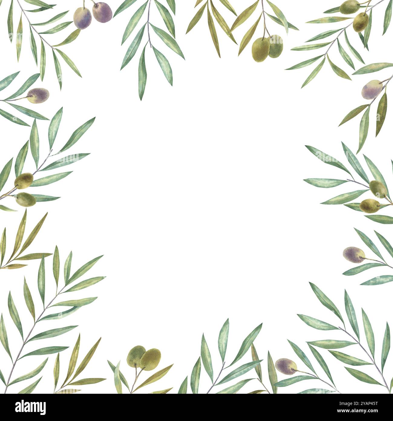 Cornice ad acquerello con rami di ulivo e frutta. Foto Stock