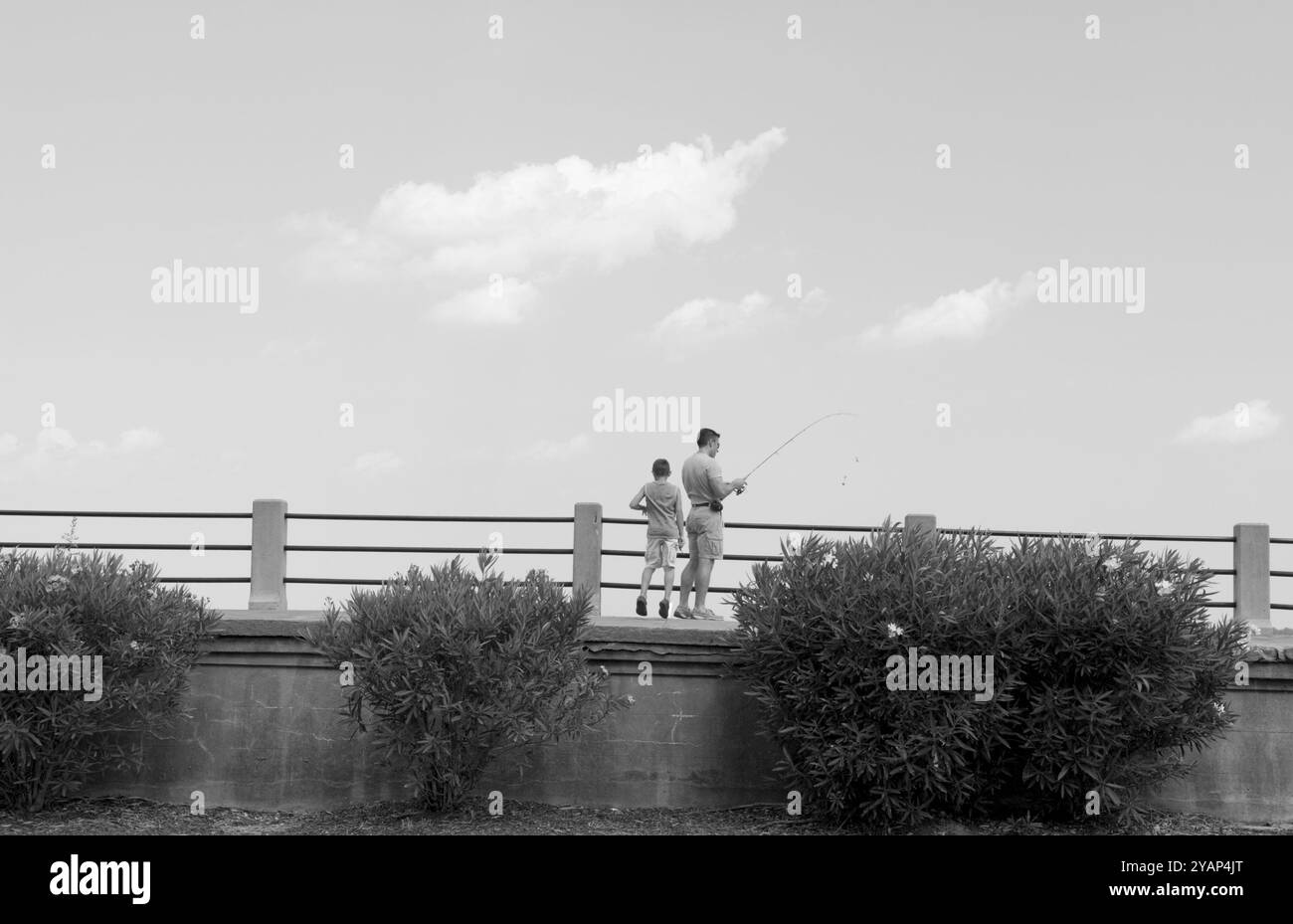 Uomo e ragazzo caucasico che pesca al Battery Park di Charleston, South Carolina, Stati Uniti. Foto Stock