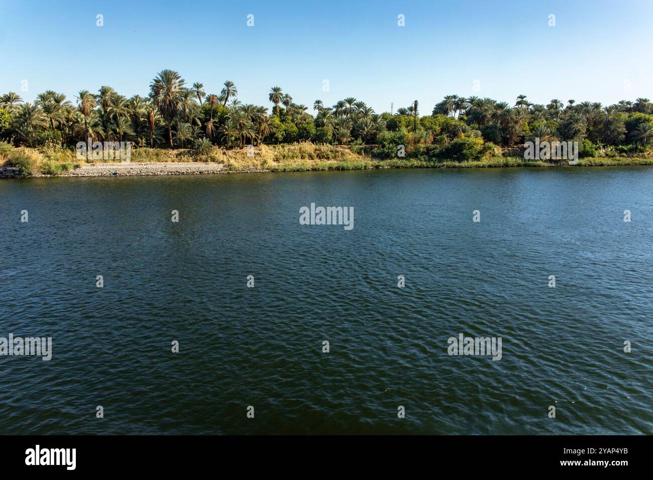 Scopri la magia del Nilo, dove lussureggianti valli verdi incontrano antichi templi. Naviga su questo fiume sacro e immergiti nella storia egiziana. Foto Stock