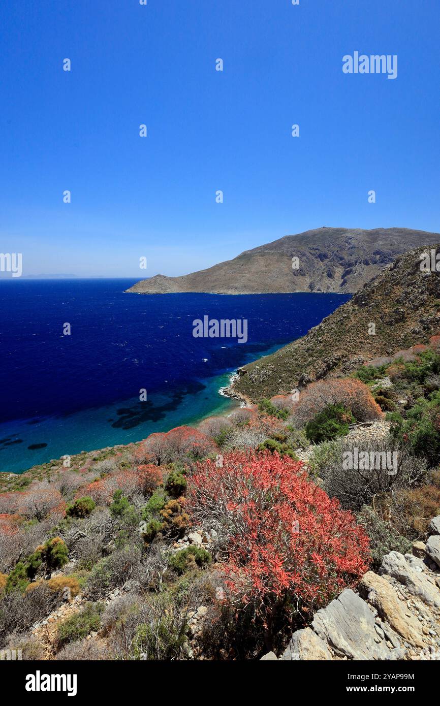 Sentiero tra Livadia e Gera, in primavera, Tilos, Isole del Dodecaneso, Egeo meridionale, Grecia. Foto Stock