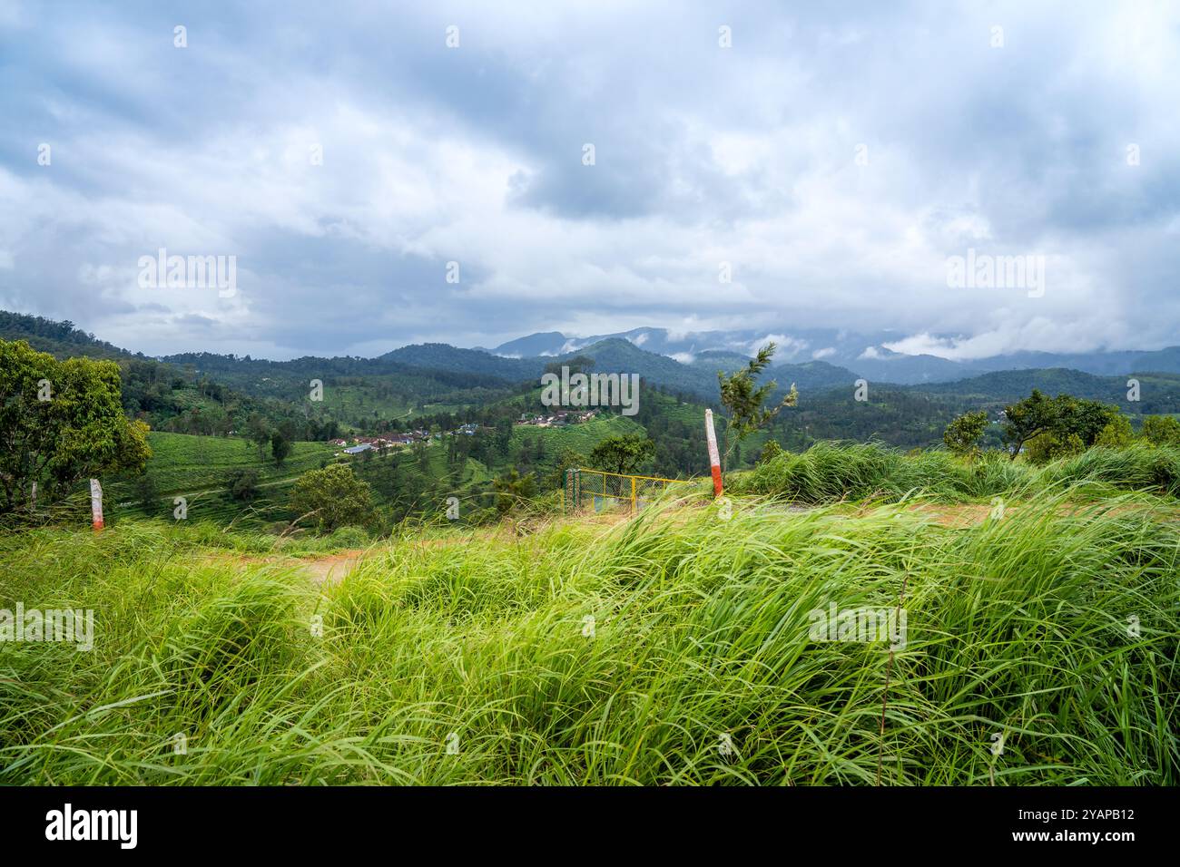 Yellamalai da Gudalur, Tamil Nadu - Un villaggio di piantagioni nel distretto Tamil Nadu Neelagiri. Foto Stock