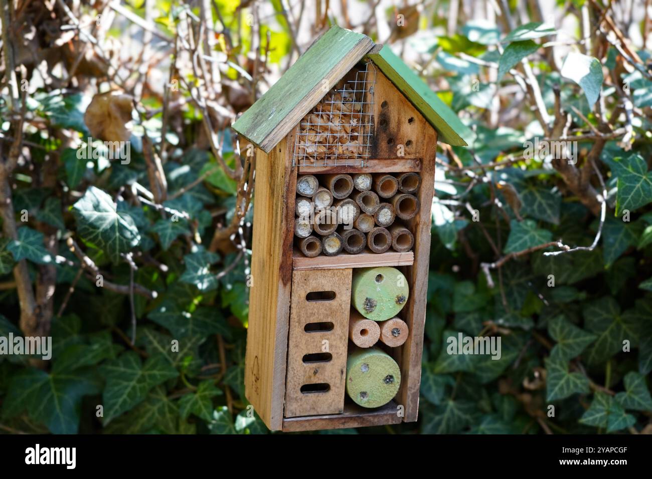 Un hotel di insetti in legno collocato in un giardino, che fornisce riparo per varie specie di insetti e promuove la biodiversità in un ambiente naturale. Foto Stock