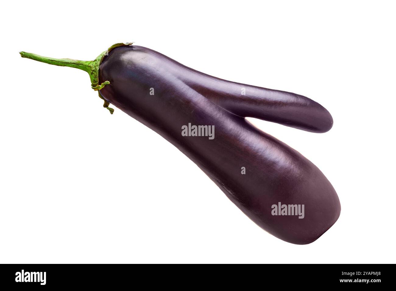 Primo piano di melanzane dalla forma unica che riposano in un angolo, mostrando una pelle viola ricca su uno sfondo bianco pulito, perfetto per la creatività culinaria. Foto Stock