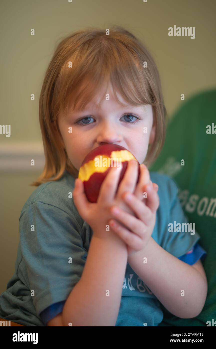 Bambina di tre anni che mangia una mela Foto Stock