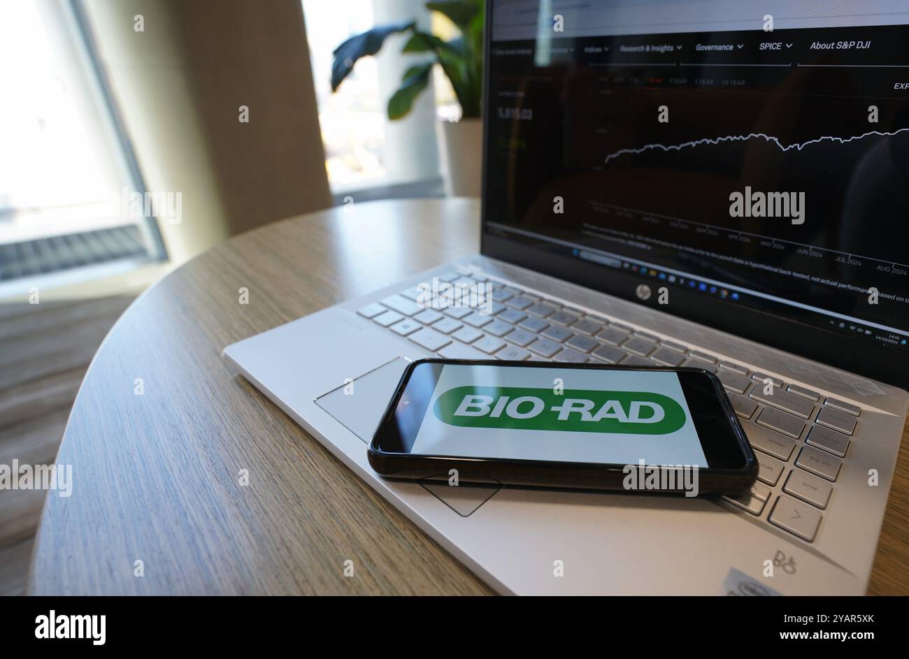 Cina. 14 ottobre 2024. In questa immagine, il logo Bio-Rad Laboratories viene visualizzato su uno smartphone con il sito Web S&P 500 Index sullo sfondo. (Immagine di credito: © Alvin Chan/SOPA Images via ZUMA Press Wire) SOLO PER USO EDITORIALE! Non per USO commerciale! Foto Stock