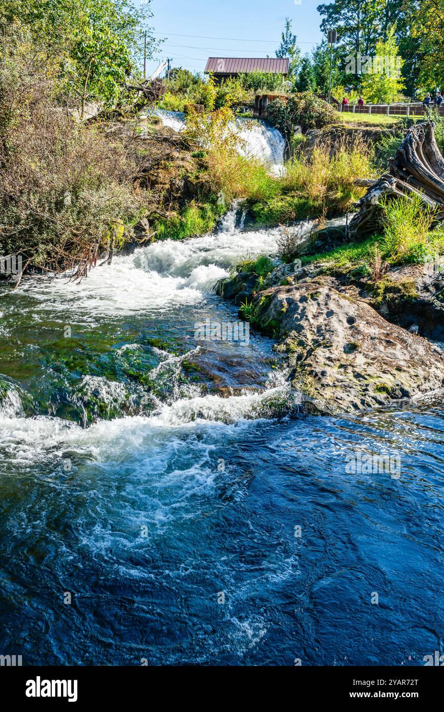 Vista di una cascata al Brewery Park di Tumwater, Washington. Foto Stock