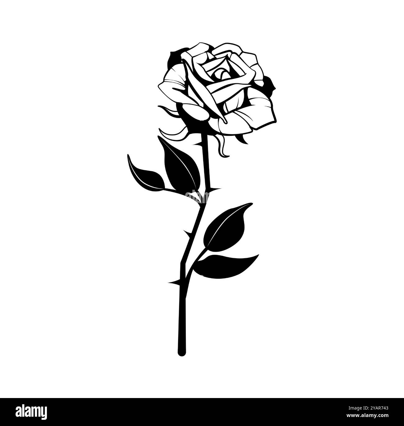 Rosa nera isolata su sfondo bianco, simbolo della giovinezza, spesso usata nella cultura del tatuaggio Illustrazione Vettoriale