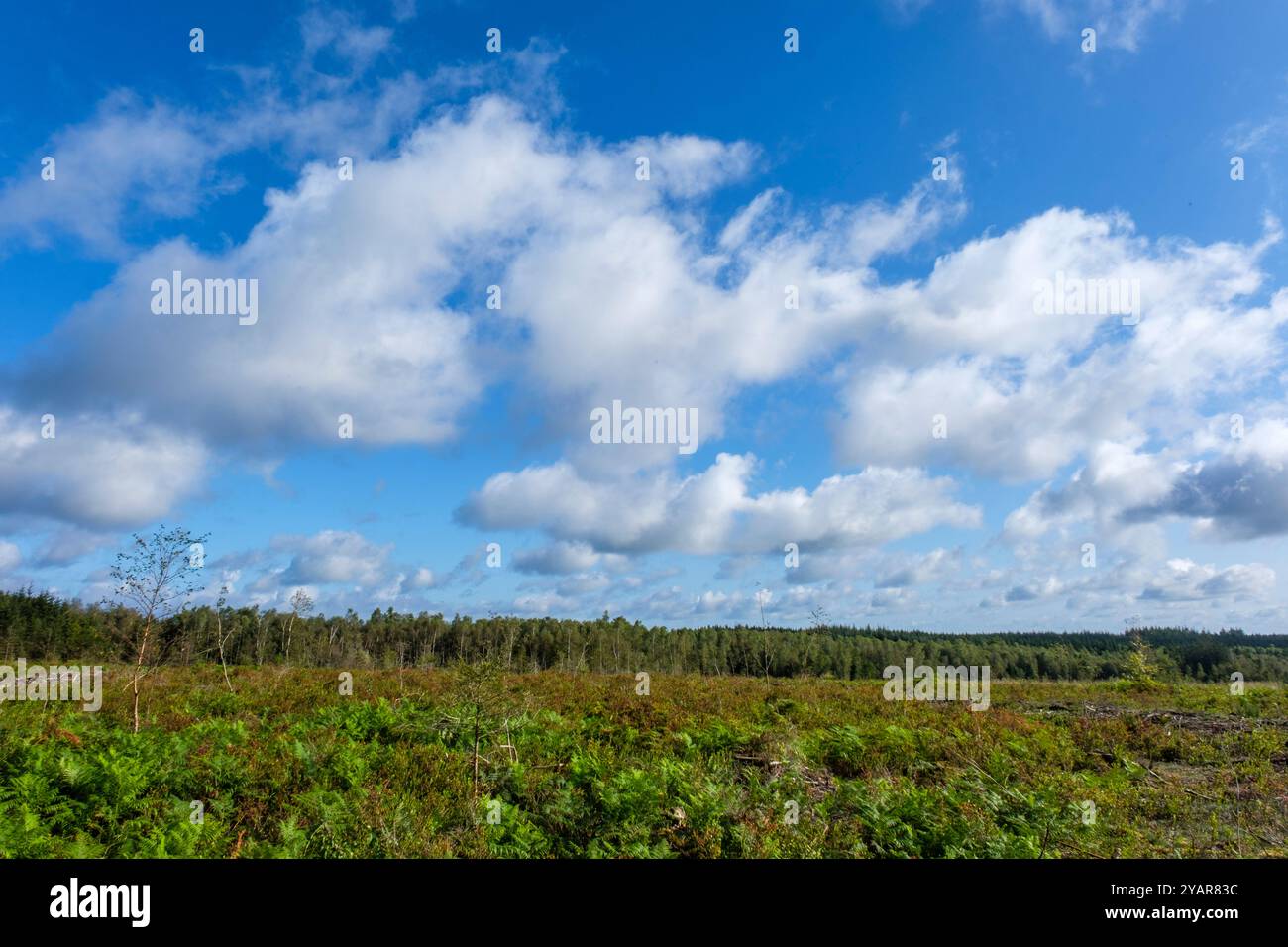 Ammirevole la Tour du Millénaire est une oeuvre. Comme si vous étiez au sommet du mat d'un navire, la vue s'étend au delà de 30 kilomètres, sur un océa Foto Stock