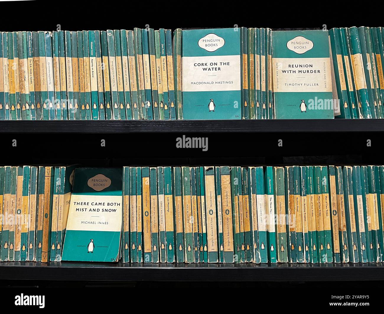 Libri sui pinguini verdi e bianchi (fiction sul crimine) Foto Stock