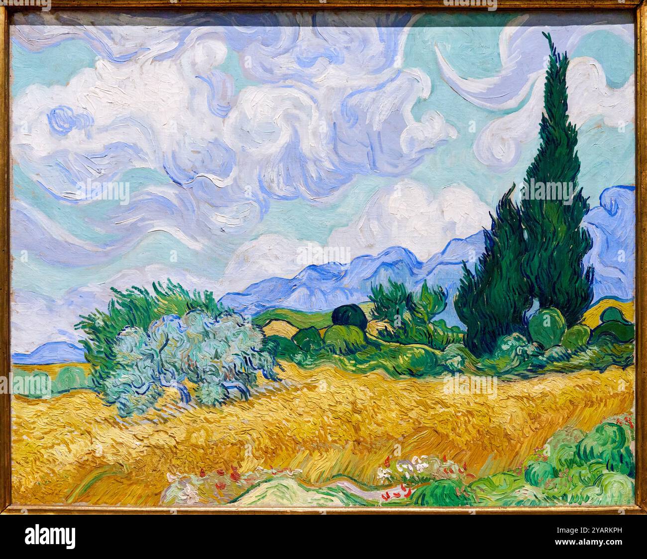 A Wheatfield, with Cypresses, 1889, Vincent Van Gogh (1853-1890), Poets & Lovers Exhibition, National Gallery, Londra, Regno Unito Foto Stock