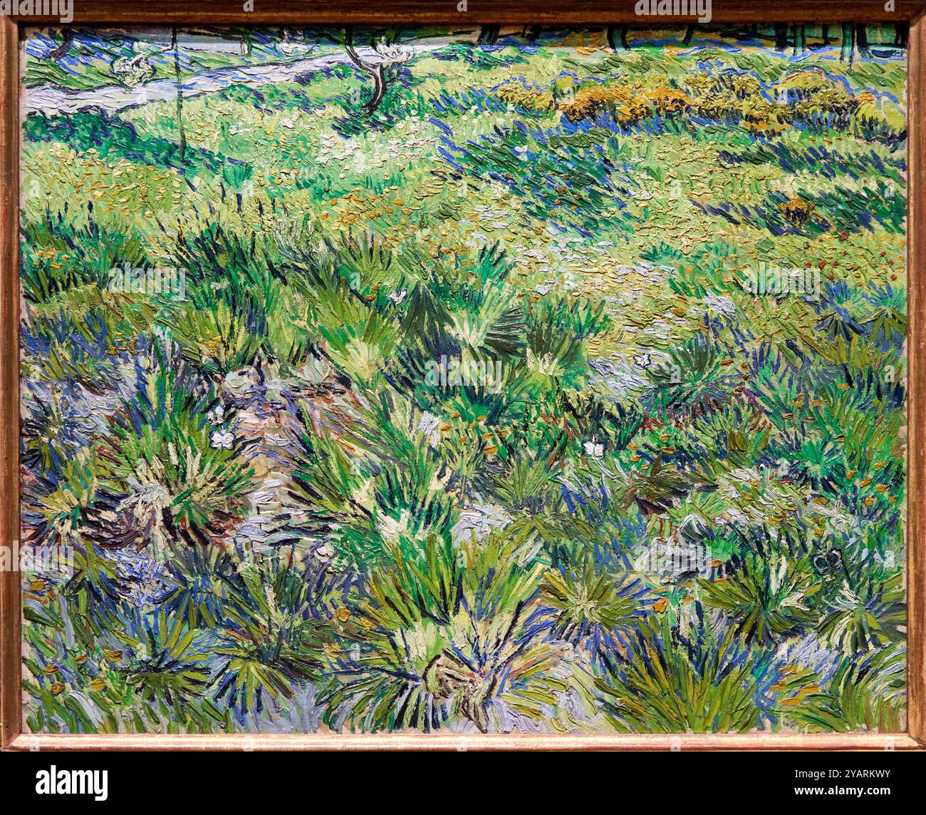 Long Grass with Butterflies, 1890, Vincent Van Gogh (1853-1890), Poets & Lovers Exhibition, National Gallery, Londra, Regno Unito Foto Stock