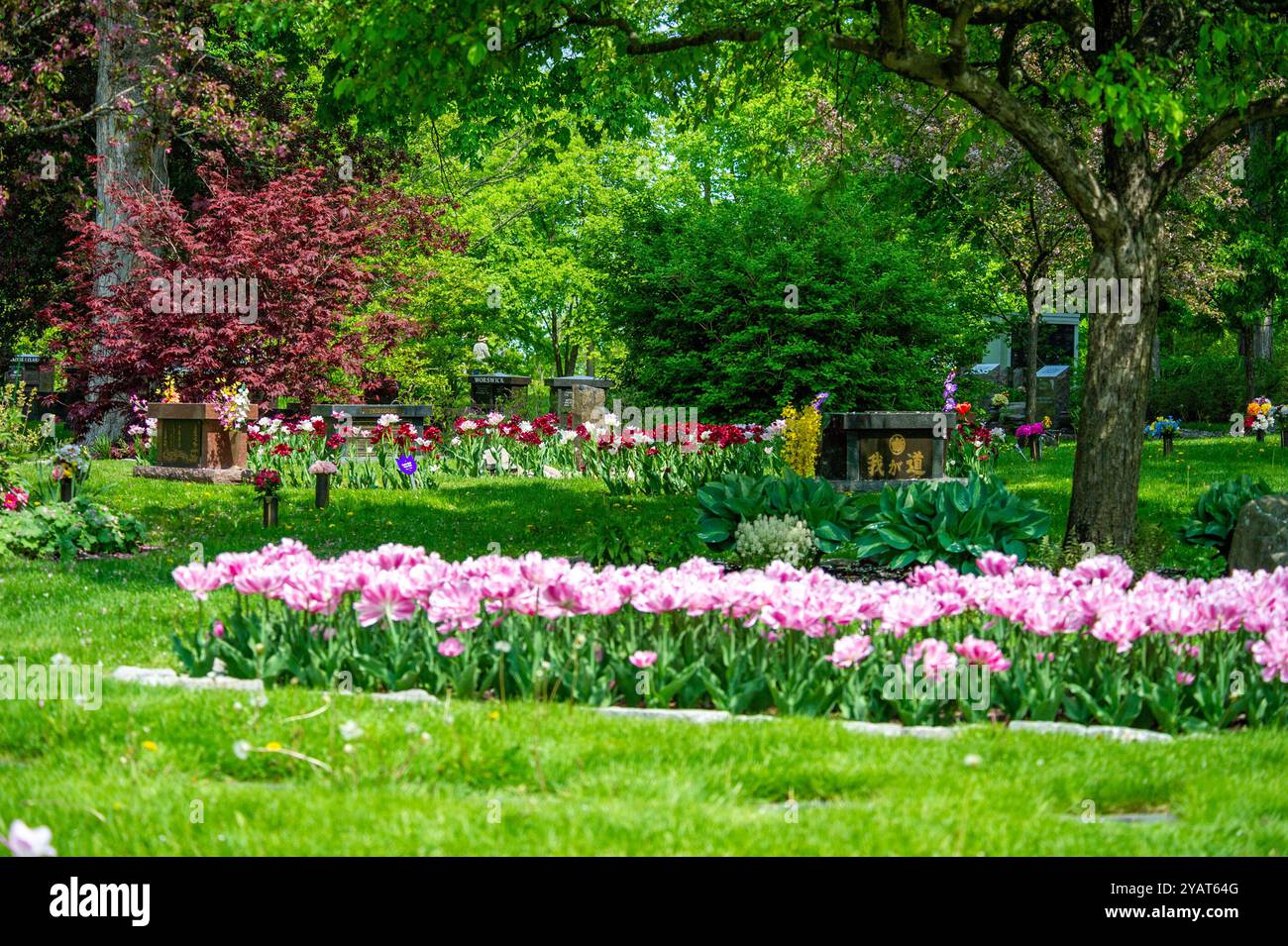 Beechwood Cemetery durante la stagione autunnale, Ottawa, Ontario, Canada Foto Stock