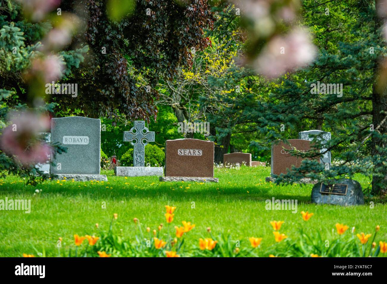 National Cemetery of Canada durante la stagione autunnale. Beechwood Cemetery, Ottawa, Ontario, Canada. Foto Stock