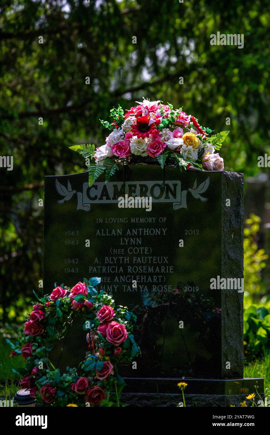 National Cemetery of Canada durante la stagione autunnale. Beechwood Cemetery, Ottawa, Ontario, Canada. Foto Stock