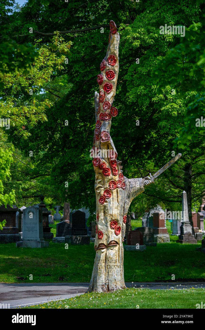 Struttura della memoria Foto Stock