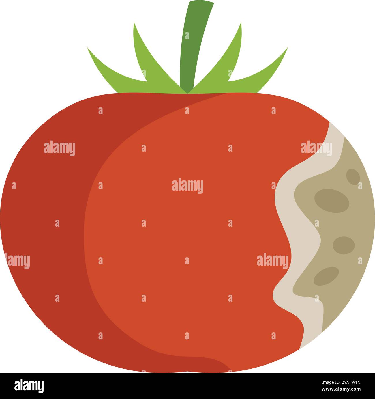 Il pomodoro rosso con gambo verde è parzialmente marcio con la muffa che cresce su di esso Illustrazione Vettoriale