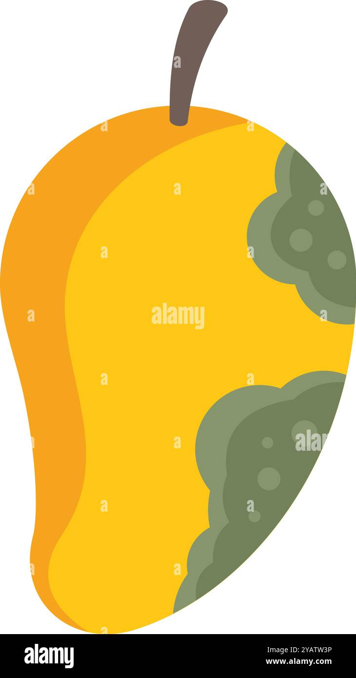 Il mango giallo sta diventando troppo maturo e mostra muffa verde che cresce sulla sua pelle Illustrazione Vettoriale