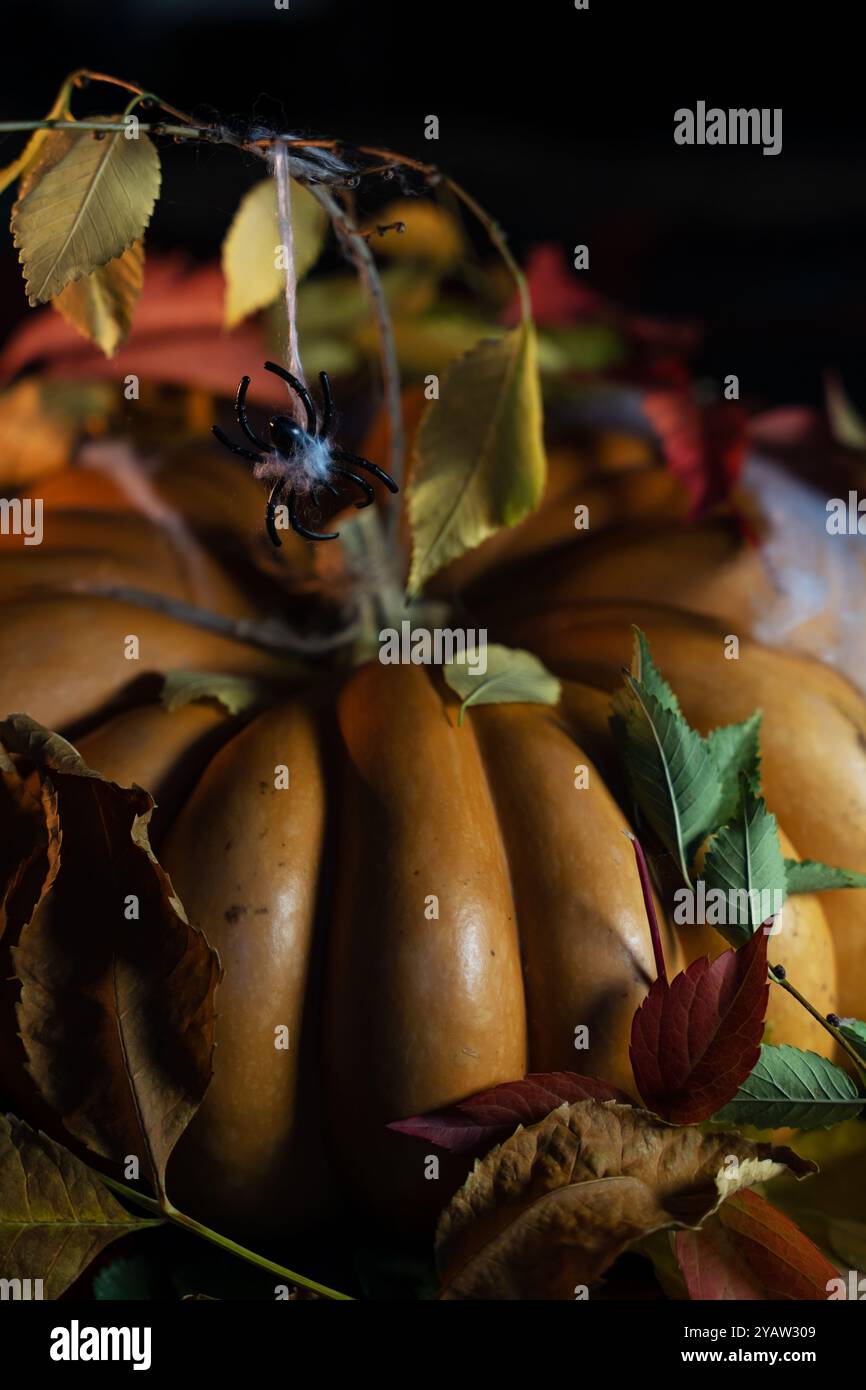 Una zucca arancione, circondata da foglie autunnali, è incastrata in una ragnatela decorativa, un supporto per la festa di Halloween. Foto verticale. Foto Stock