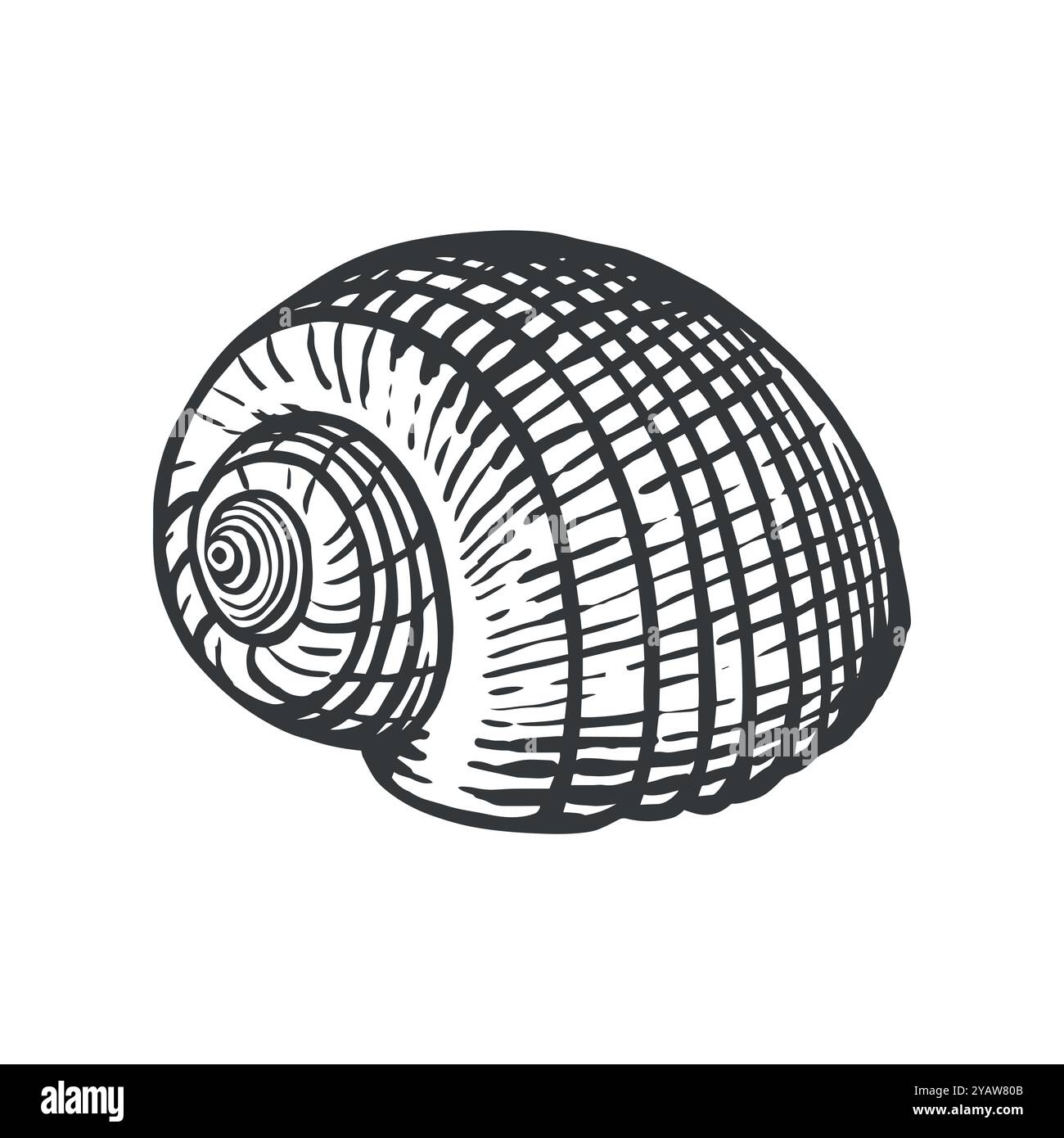 Giardino Sundial Shell Illustrazione Vettoriale
