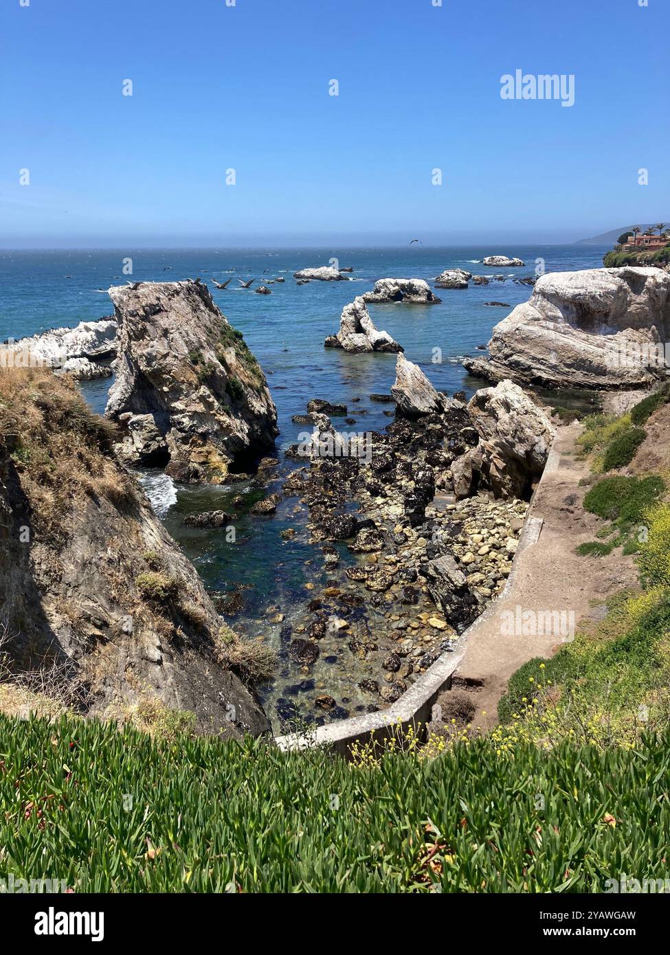 Shell Beach sulla costa centrale della California - Immagine stock catturata con smartphone