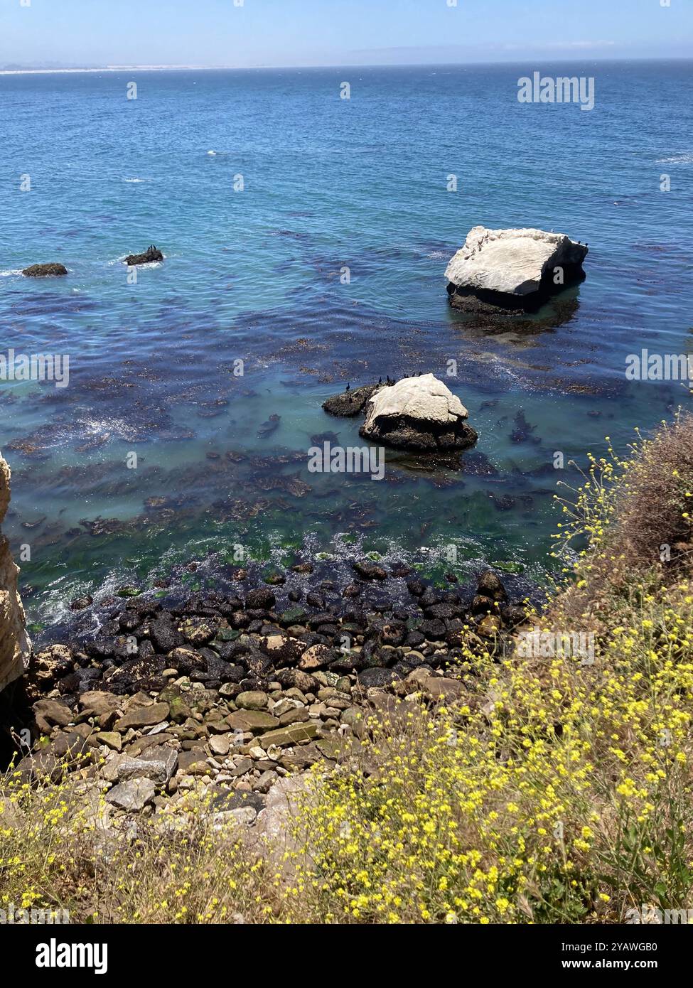Shell Beach sulla costa centrale della California - Immagine stock catturata con smartphone