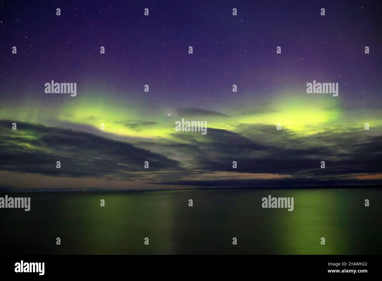 Aurora boreale o aurora boreale sulla costa occidentale della Groenlandia, Danimarca Foto Stock
