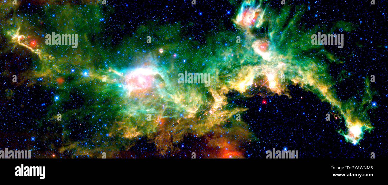 La nebulosa del gabbiano, vista in questo mosaico a infrarossi dal wide-Field Infrared Survey Explorer della NASA, trae il suo nome comune dalla somiglianza con un gabbiano in volo. Ma dipende dal suo punto di vista. Quando l'immagine viene ruotata di 180 gradi, assomiglia a una lucertola galoppante. L'immagine si estende su un'area circa sette volte più larga della luna piena e tre volte più alta, a cavallo del confine tra le costellazioni Monoceros e Canis Major (il grande cane). Foto Stock