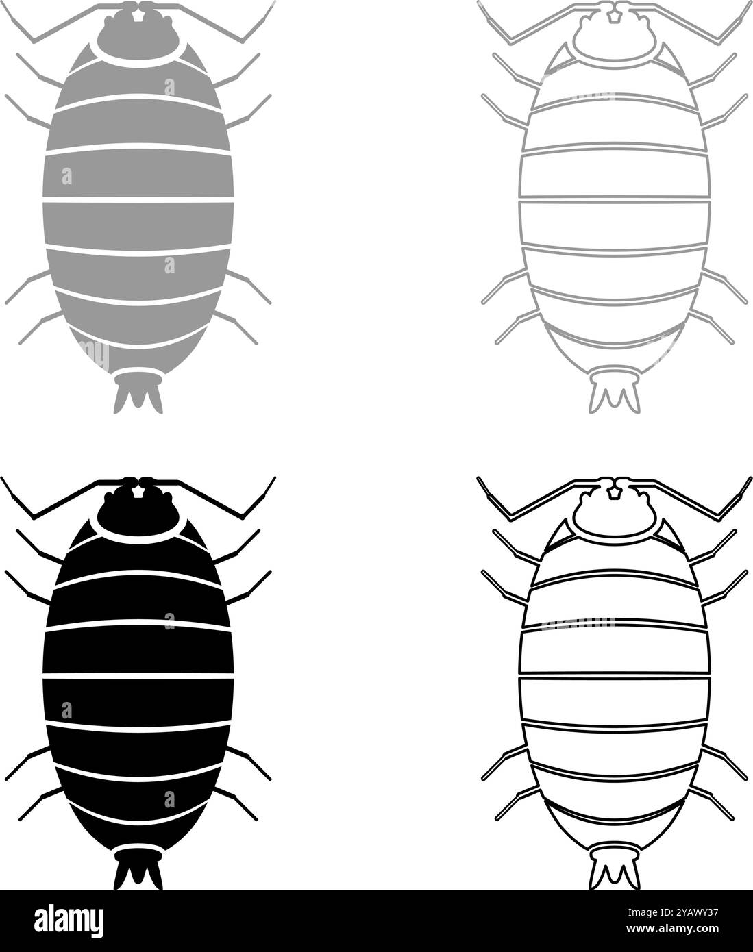 Roly Poly Woodlouse scaber in porcellio, set di legni, icona grigio, colore nero, immagine vettoriale semplice, riempimento solido contorno linea sottile piatta Illustrazione Vettoriale