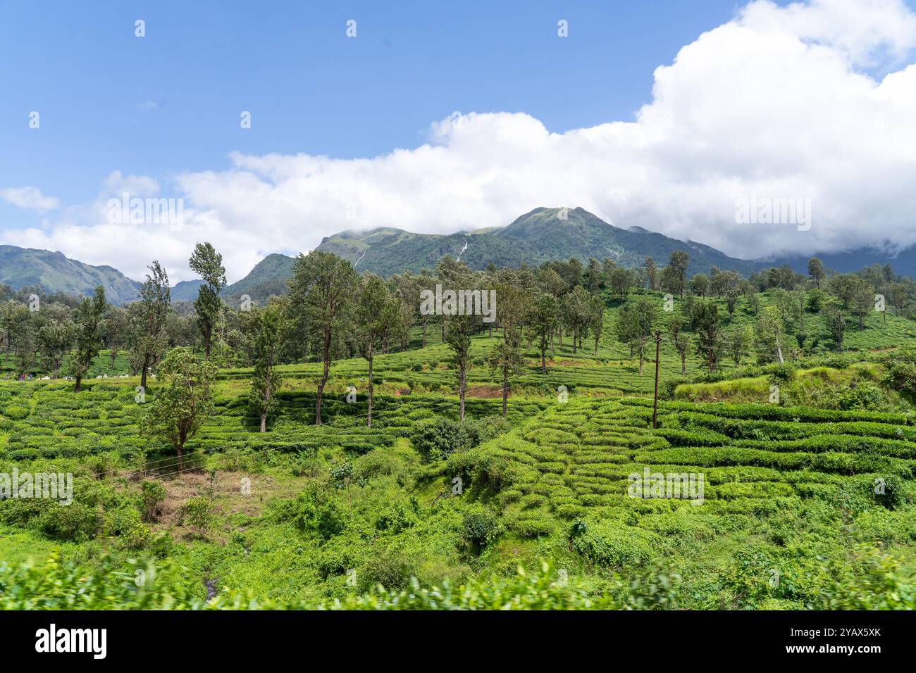 Yellamalai da Gudalur, Tamil Nadu - Un villaggio di piantagioni nel distretto Tamil Nadu Neelagiri. Foto Stock