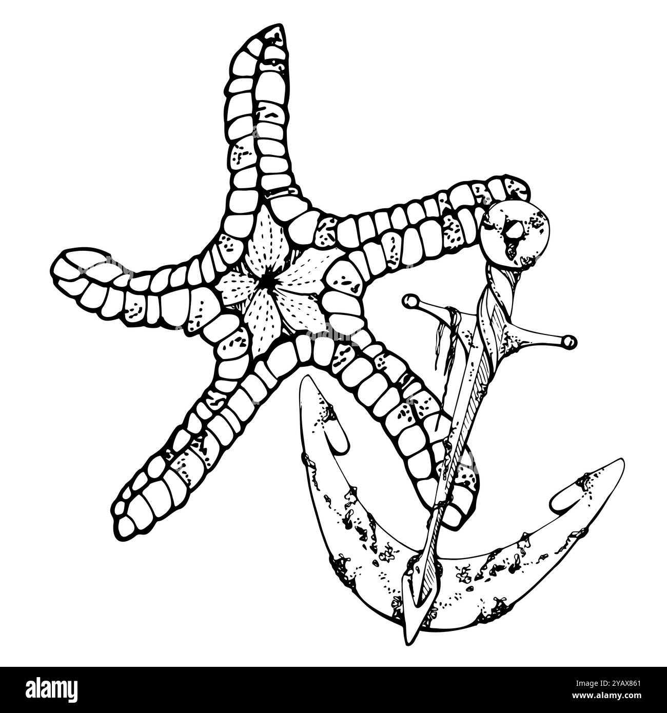 Stella marina con ancora, vita marina, animali marini marini marini, animali marini marini, inchiostro e penna disegnati a mano. Illustrazione della composizione, stilizzata Illustrazione Vettoriale