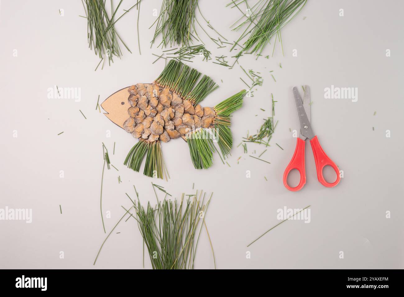pesce astratto fatto di aghi a cono di pino, forbici accanto ad esso, sfondo grigio, vista dall'alto verso il basso Foto Stock