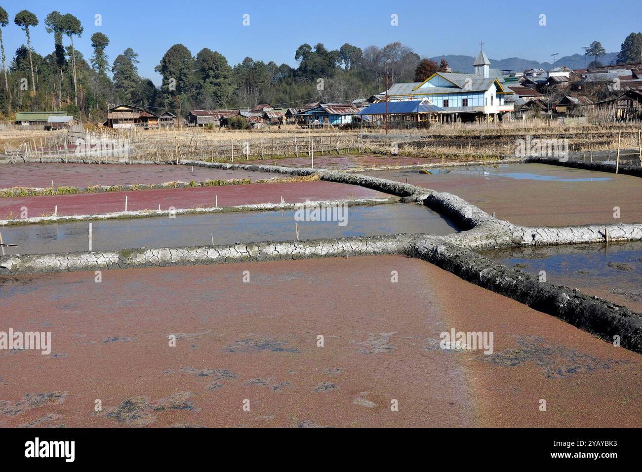 India, Arunachal Pradesh, Ziro valle, villaggio Apatani Foto Stock