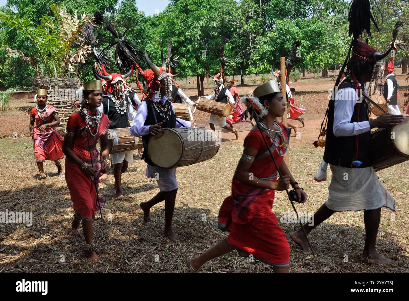 India Orissa, Chhattisgarh, area Muria, Bison tribù avvisatore acustico Foto Stock