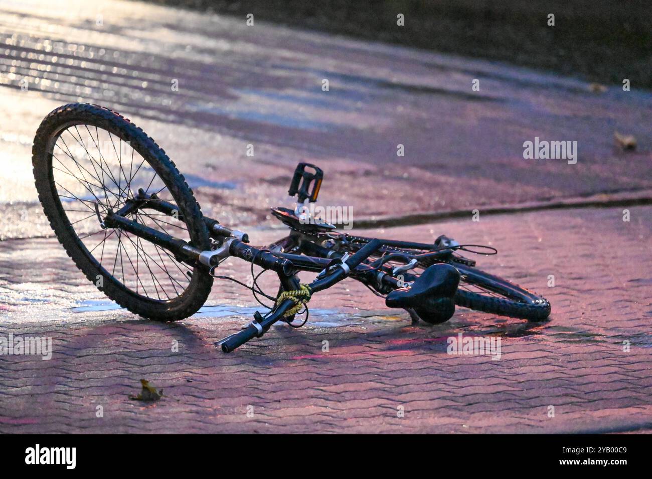 Markranstädt - Laster überrollt Biker: Radfahrer stirbt bei Unfall mit Auto und LKW 10.10.2024 gegen 16 Uhr Markranstädt, Leipziger Straße B87 Zu einem tödlichen Unfall kam es am Donnerstagnachmittag gegen 16 Uhr auf der Leipziger Straße in Markranstädt im Landkreis Lipsia. Nach ersten Angaben der Polizei War der 25-jährige Radfahrer auf der falschen, anche linken Gehwegseite in Richtung Leipzig unterwegs, als eine Autofahrerin den Mann an der Ausfahrt des Rewe-Marktes übersah und diesen faserste. Der 25-Jährige wurde über die Motorrhaube des Hyundai geschleudert und kam anschließend unter ein Foto Stock