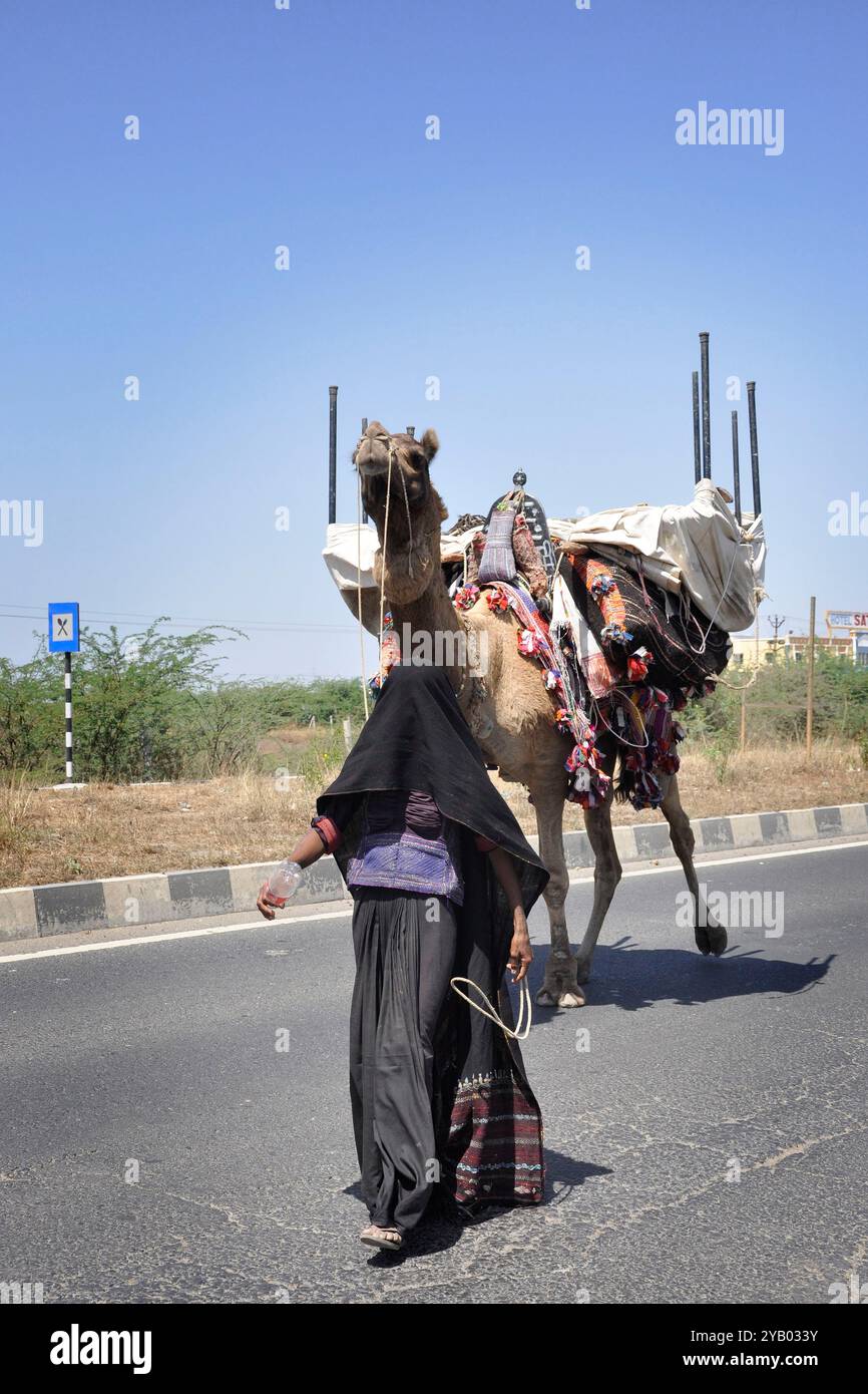 India, Gujarat, Rann di Kutch, vita quotidiana Foto Stock