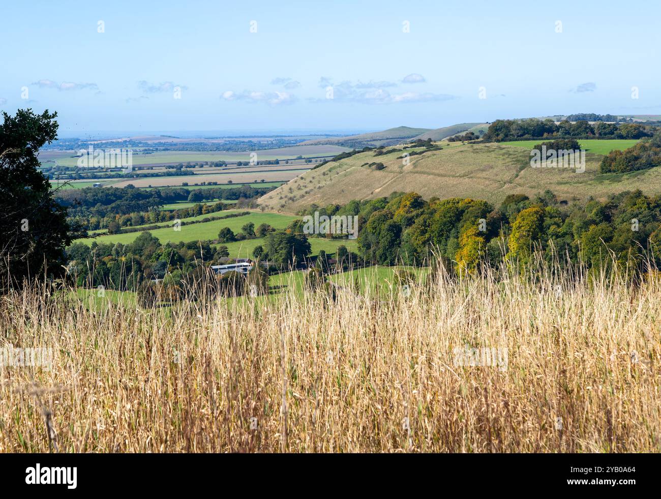 Vista sul pendio di gesso vale of Pewsey, Pewsey vale, Martinsell Hill, Oare, Wiltshire, Inghilterra, Regno Unito - a Milk Hill Foto Stock