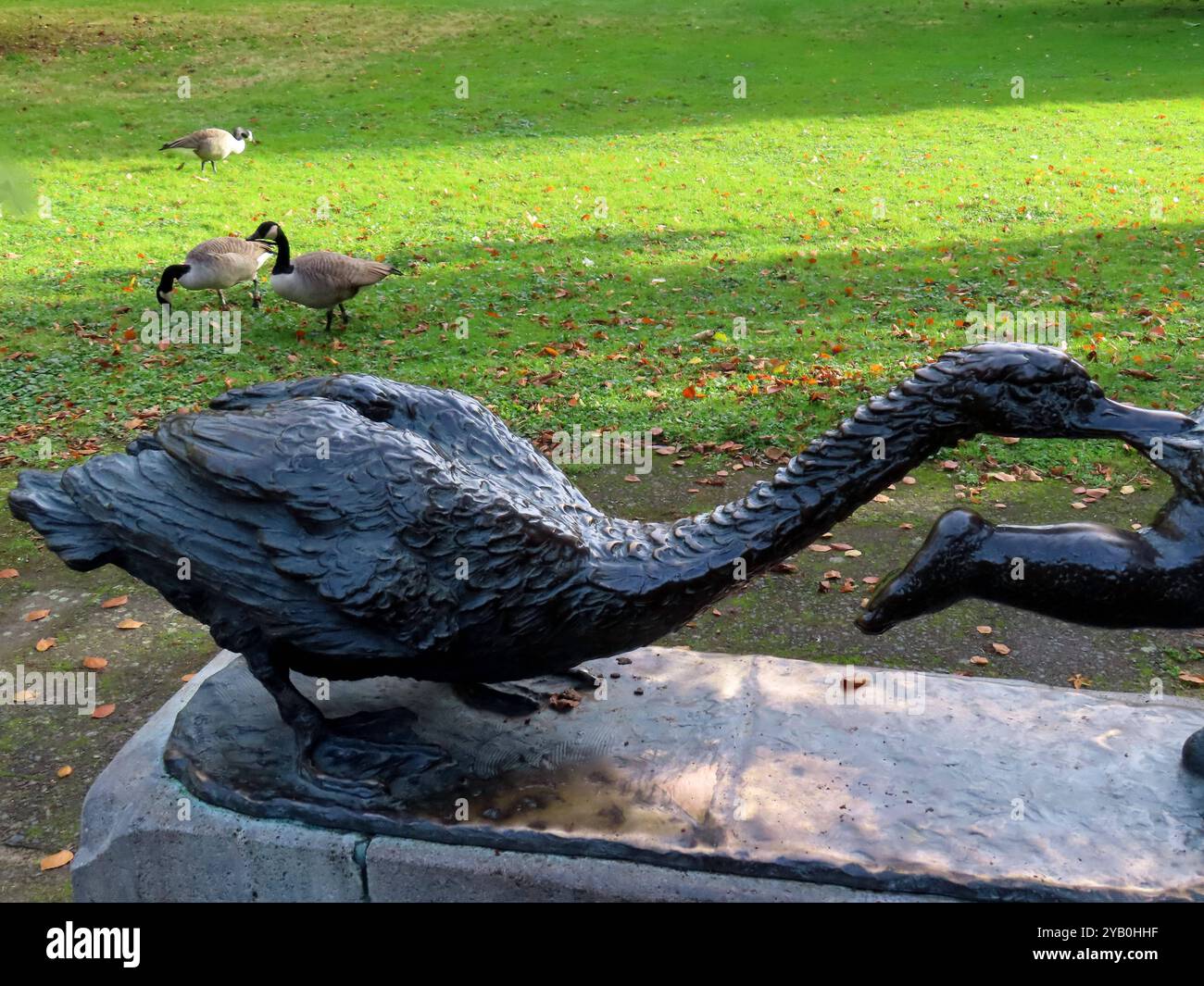 ...Da staunen nicht nur die Kanada Gaense...Diese Bronze Plastik ist in der Tat originell - ebenso die beiden Kanada Gaense, die abwechselnd einen Blick riskieren... Der Eierdieb - verfolgt von einer Gans - Kunstwerk von Oswald Causin gestorben 1953 *** non è solo il Canada Goose che è stupito da questa scultura in bronzo, che è davvero originale, così come lo sono i due Canada Goose che prendono a turno per dare un'occhiata al ladro di uova perseguito da un'opera d'arte dell'oca di Oswald Causin morto nel 1953 Foto Stock