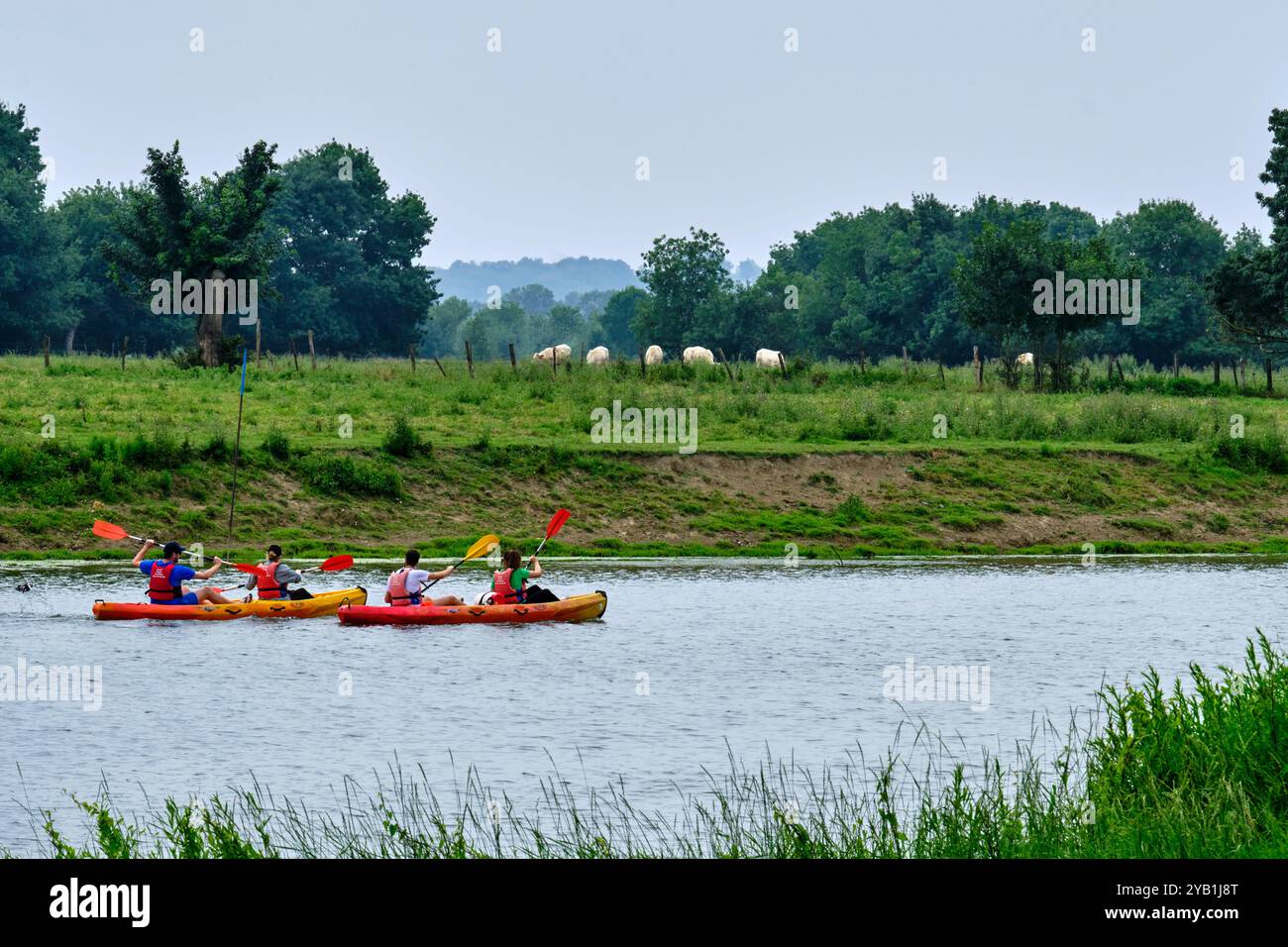 Francia, Maine-et-Loire, Angers, isola di Saint-Aubin tra Mayenne e Sarthe formando il Maine, canoa e kayak sulla Sarthe Foto Stock