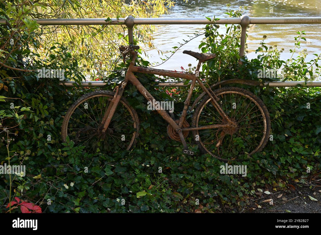Una bicicletta arrugginita abbandonata dai Friars Walk vicino al fiume Tamigi a Oxford Foto Stock