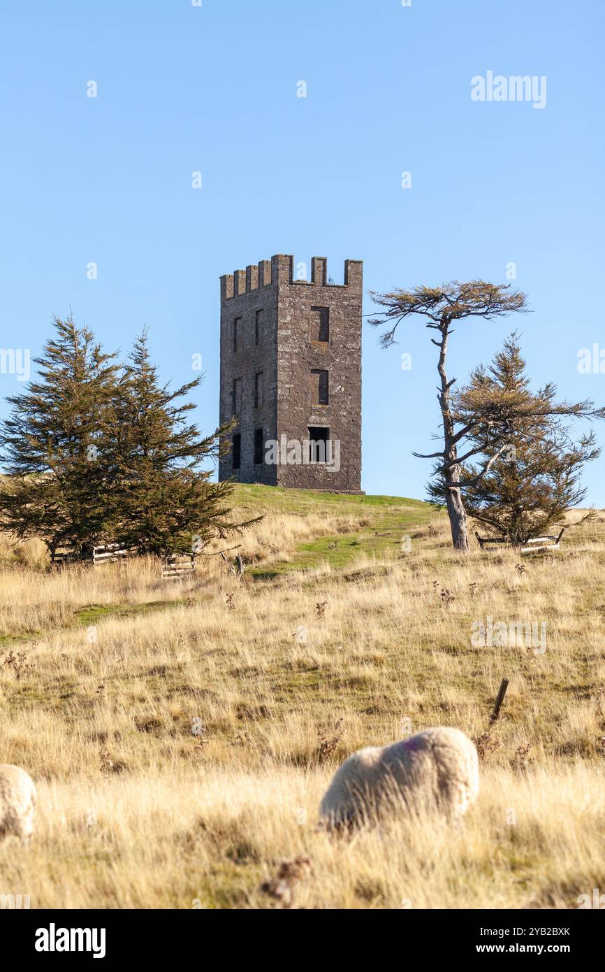 Kinpurney Hill, torre di osservazione vicino a Newtyle, Angus, Scozia Foto Stock