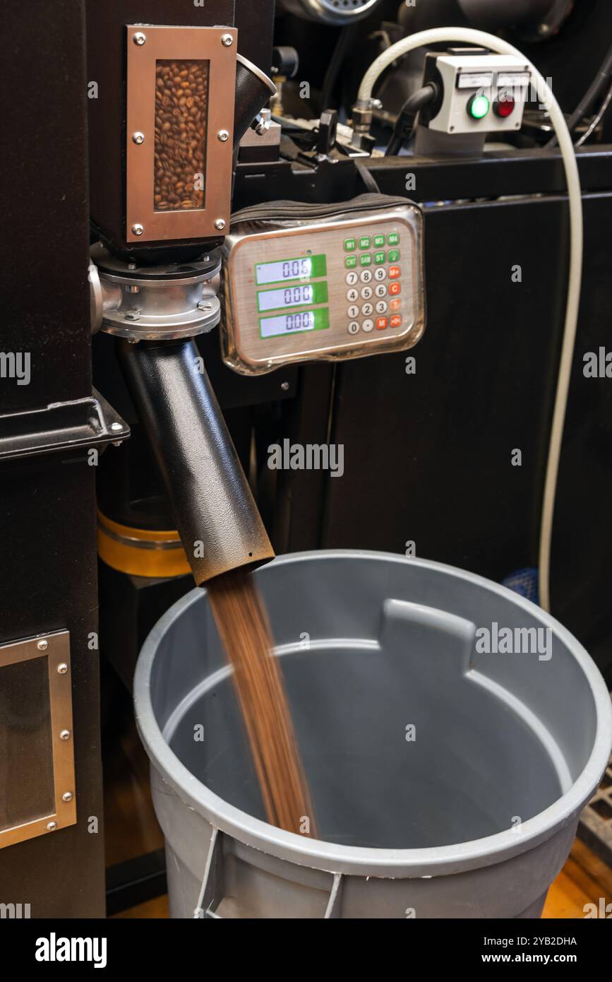 I chicchi di caffè tostati subito dopo la tostatura vengono versati dalla macchina per torrefazione industriale in un contenitore di raccolta, foto ravvicinate con effetto di sfocatura in movimento Foto Stock