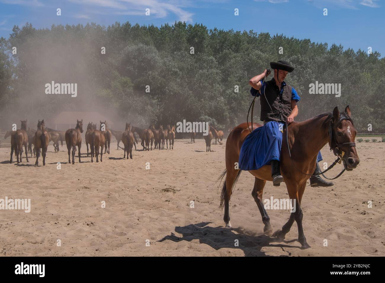 Cowboy e mandria di cavalli nella Puszta, Ungheria Foto Stock