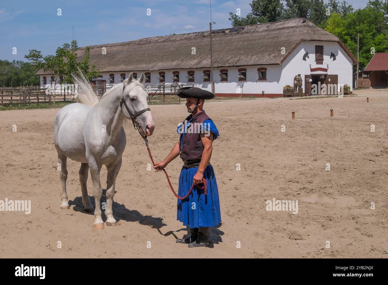 Cowboy ungherese con cavallo a Puszta, Ungheria Foto Stock
