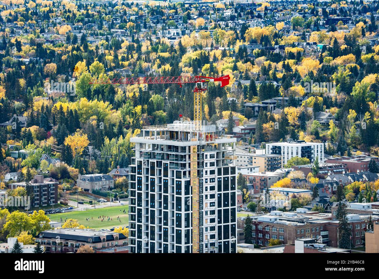 Calgary Alberta Canada, 12 ottobre 2024: Paesaggio urbano autunnale con alberi in colori autunnali che si affacciano su una gru da costruzione aerea funzionante. Foto Stock
