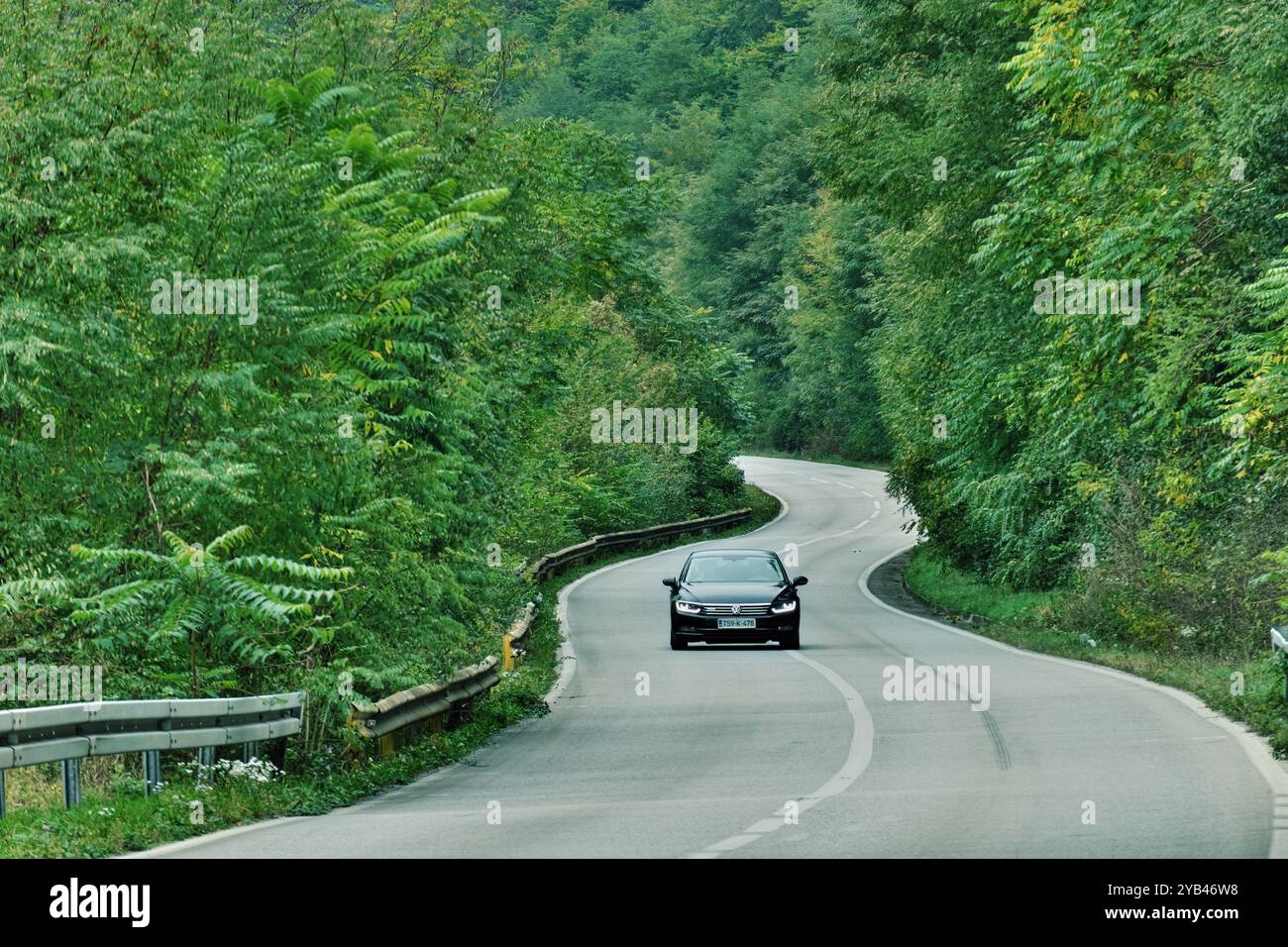 L'auto sta guidando lungo una foresta, Foca, nella parte orientale della Bosnia ed Erzegovina Foto Stock