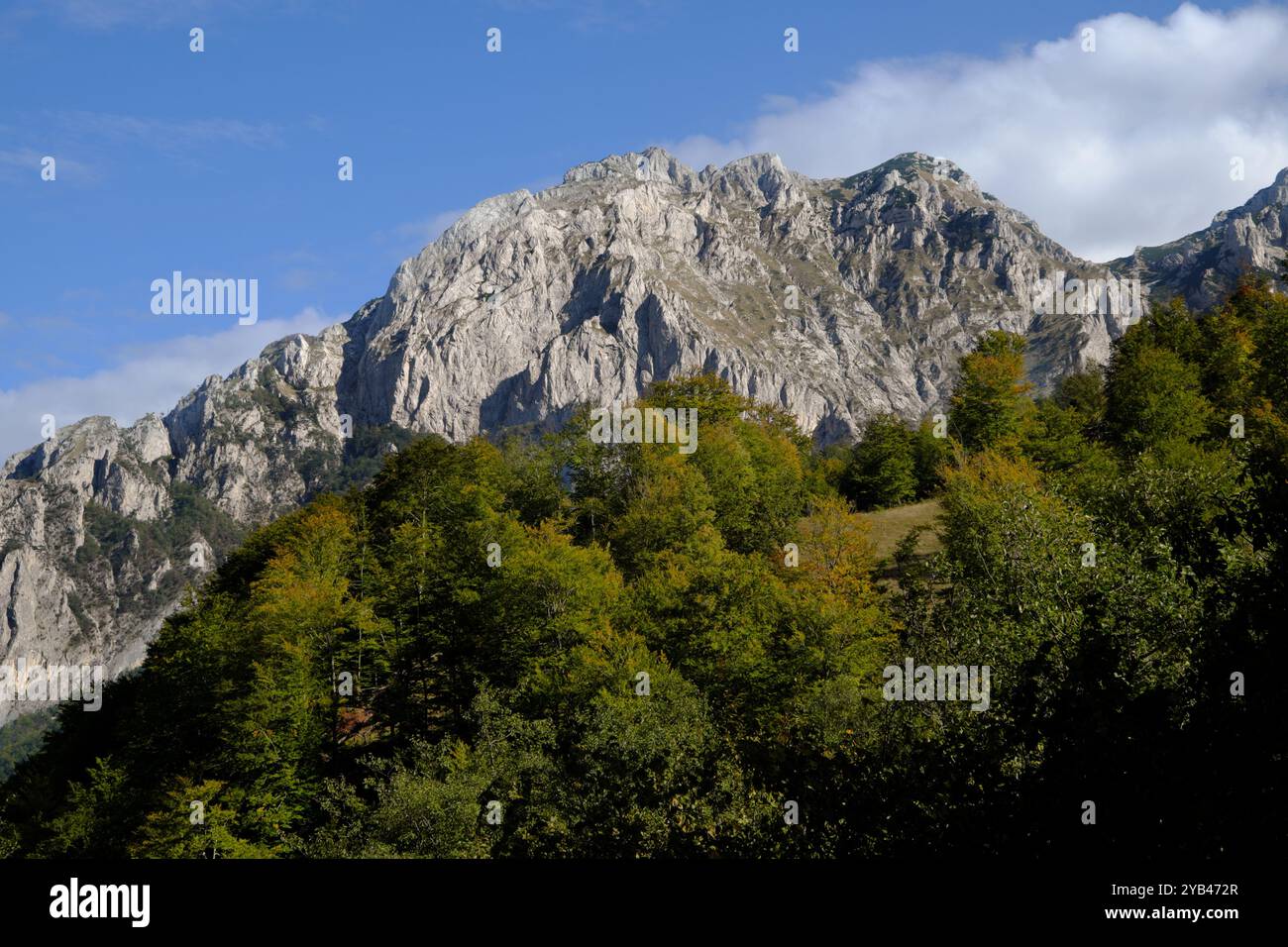 Picco di montagna e foresta del Parco Nazionale di Sutjeska, Bosnia ed Erzegovina Foto Stock