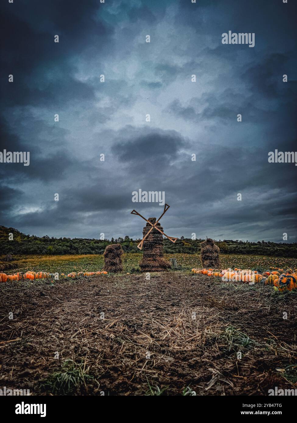 Una scena autunnale in un campo di zucca sotto un cielo drammatico e coperto. File di zucche fiancheggiano un sentiero sterrato che conduce a sculture di fieno che evocano un mare Foto Stock